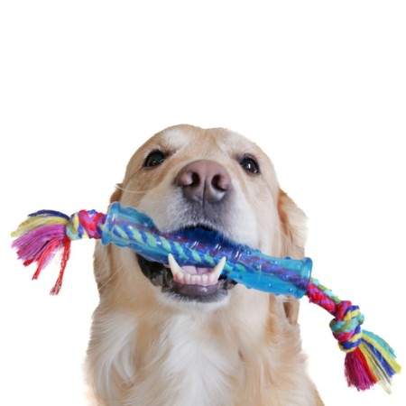 Petstags toy "Orc stick" for dogs, medium-2