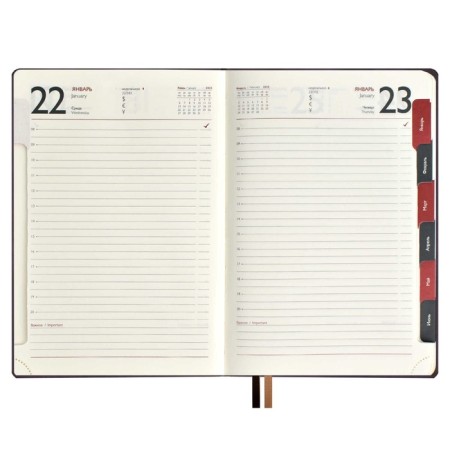 Dated 2025 diary, Escalada, A4, 120 sheets, soft cover, artificial leather, foil embossing, liesse, block 70 g/m2, brown-2