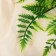 Bouquet "Ordinary fern" 27 cm, green