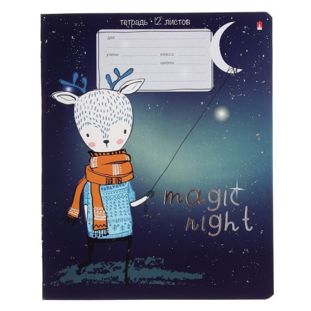 Notebook 12 sheets in the Magic Night line, covered cardboard, foil, mix-2