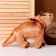 Soft musical toy "Dinosaurus", 42 cm, beige color