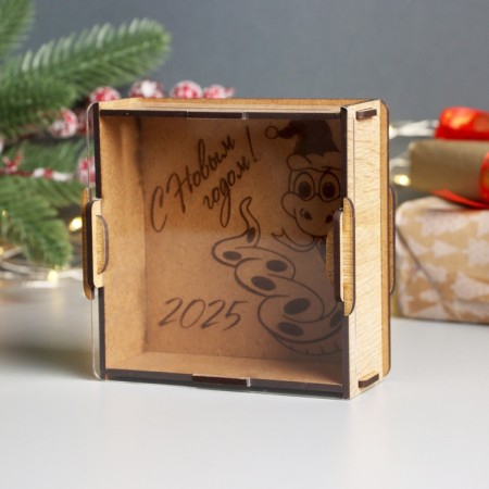 New Year's piggy bank with acrylic "Snake. New Year" 12x12x4 cm