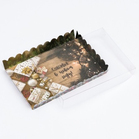 Box for cookies "Dried Gifts", 22 x 15 x 3 cm-10