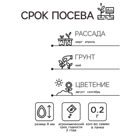 Astra seeds "Pomponal (mixture", 0.2 g-3