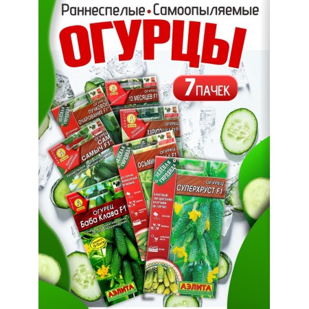 Set of seeds Early Self -Self -pollinated cucumbers