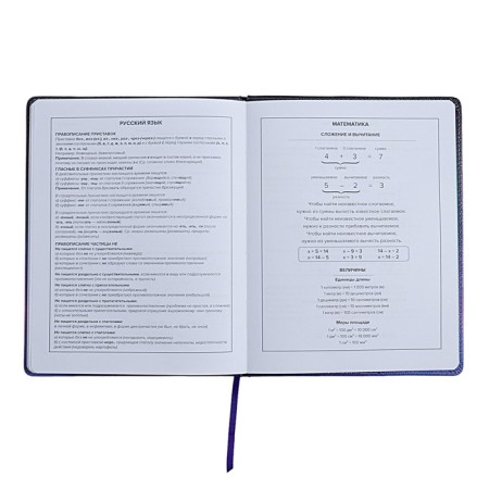 Universal Diary Grade 1-11, 48 sheets "Cat in the raincoat", solid cover of artificial leather, applique, liesse, universal cheat sheet, block 80 g/m2-10