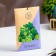 Sasha aromatic "bergamot", 10 g, "wealth of aroma"