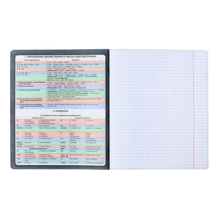 Subject notebook, 48 sheets, cage, English Erichkrause "Chubrik", plastic cover silkography, Blok Offset 100%, information block-3