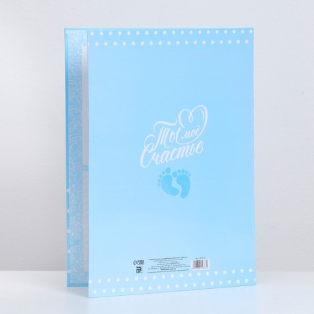 Folder for birth certificate for the boy "Bear", A4-2