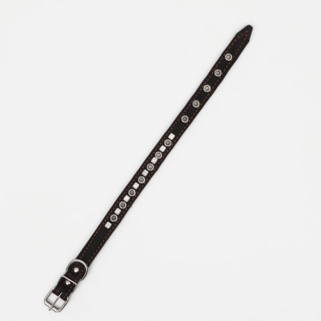 The leather collar on synthetic winterizer is decorated, dimensionless, 47 x 2 cm, Osh 28-39 cm, black-2