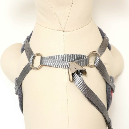 AMUNICE COMMUNICAL with soft harness, L, leash 120 x 1.5 cm, Osh 30-50 cm, OG 36-56 cm, red 473-5