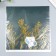 Scrapbooking paper gold "Plant" density 180 g 30.5x32 cm