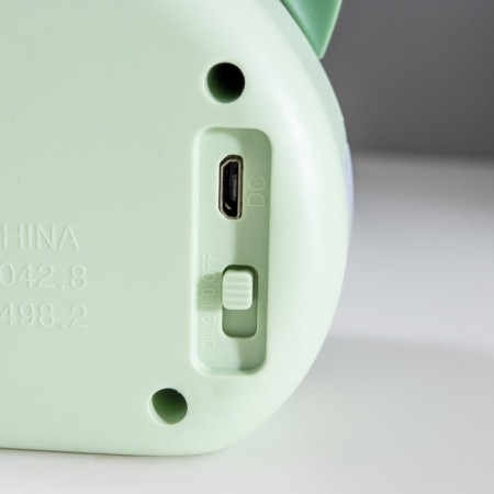 Table lamp "Delhi" LED 2 modes 2W USB green 11.7x7x12 cm Risalux-12