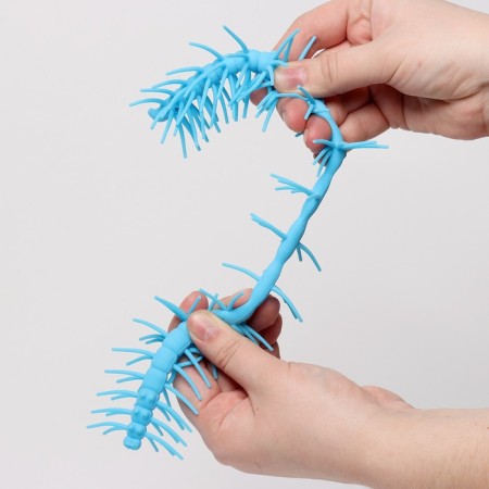 Anthistress machine "Worm", in showbox-3