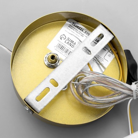 Light "Bird" LED 12W 3000-6000K gold 5x30x5cm-8