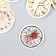 Stickers for creativity "Vintage Clock" set 45 pcs 4.4x4.4x1.1 cm