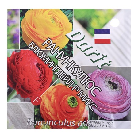 Seeds of flowers Ranunkulus "Blumingdale", 5 pcs.-2