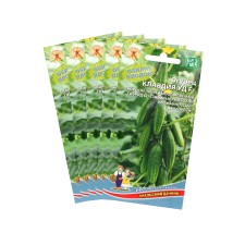 Cucumber seeds 