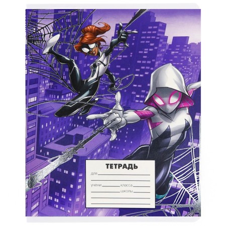 Notebook in a cage 24 sheets, 5 types of mix, embossing, cover coated cardboard, spider man-4