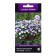 Flowers of Viola Empel Kula Wave Morfo, 5pcs