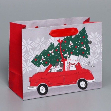 Craft horizontal package “I hurry to you”, MS 23 x 18 x 10 cm, New Year-1