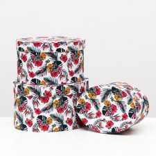 A set of oval boxes 3 in 1 