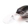 Namazu Willsy, L-75 mm wobbler, 22 g, Krenka, floating, 4.0-6.0 m, color No. 5