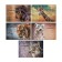 Album for drawing A4, 48 sheets, on a paper clip, "Wild World", covered cardboard, matte lamination, embossing, block 100 g/m², mix