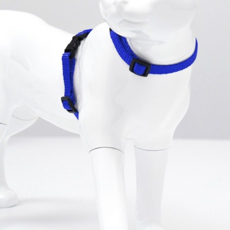 Kit for cats, width 1 cm, Osh 16.5-27 cm, fire 21-35 cm, leash 120 cm, blue-1