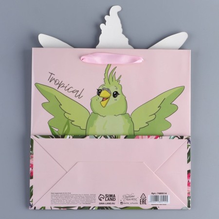 Gift package, packaging, “parrot”, 22 x 22 x 10 cm-4