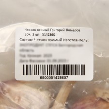 Garlic winter Grigory Komarov 30+, packaging 3 pcs
