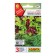 Seeds mixture of salad cultures Frizl Sizl Ts/p 0.5g