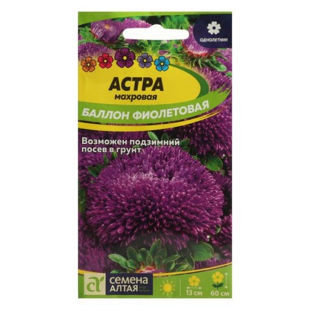Flowers of the Astra "Bull", purple, seed. ALT, c/p, 0.05 g