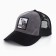 Men's cap with a DIGNITY grid, black color, rr 56