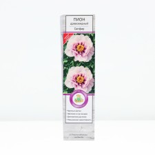 Drainage pion 