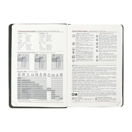 Dated 2025 diary, Escalada, A4, 120 sheets, soft cover, artificial leather, foil embossing, liesse, block 70 g/m2, blue-7