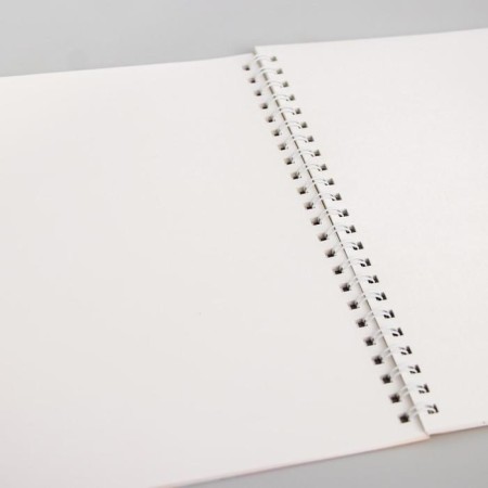 Album for drawing A4, 40 sheets 100 g/m², on the spring, Smeshariki-1