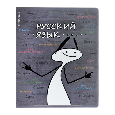 Subject notebook, 48 sheets, ruler, Russian Erichkrause "Chubrik", plastic cover silk-screen covers, Blok Offset 100%, information block