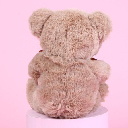 Soft toy "You are the best", bear, Mix color-15