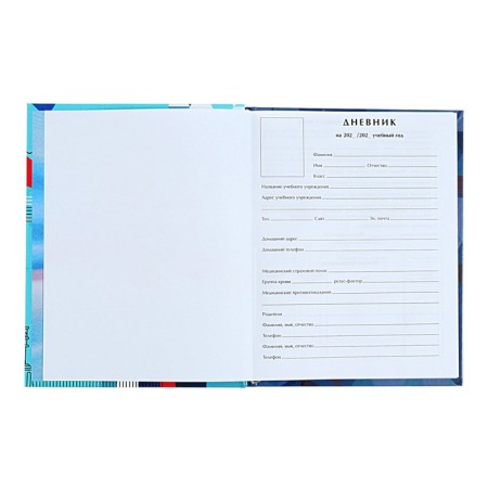 Universal Dodevink 1-11 Grade "Diary of a Russian schoolboy", 48 sheets, a solid cover, glossy lamination, liesa, an offset unit-4