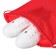 A bag for shoes 420 x 340 mm, calligrata "standard", (soft polyester, density 210 d), red