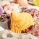 Set of shells Pecten Vequilum medium, 4 - 6 cm, 100 g