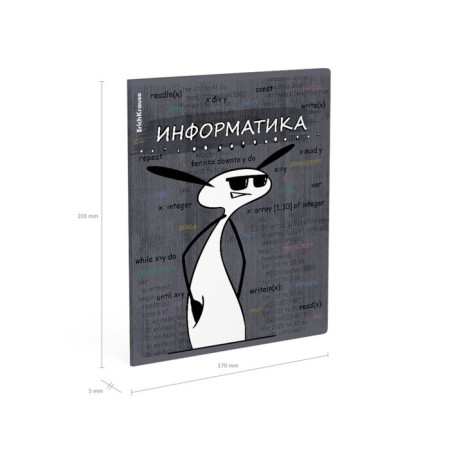 Subject notebook, 48 sheets, cage, computer science Erichkrause "Chubrik", plastic cover silk-screen covers, OFSET BELICT 100%, information block-6