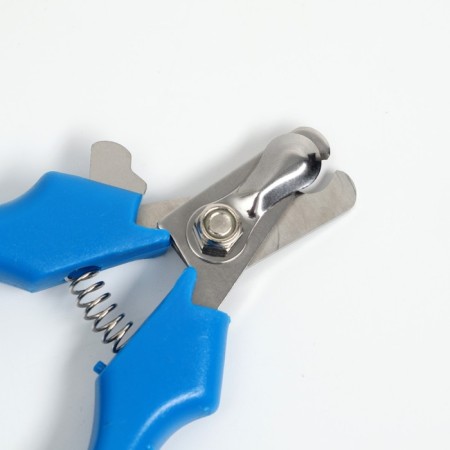 Small Economy Coogers, 12 x 4.5 x 1.4 cm, blue-2