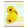 Notebook of 48 sheets in the cage "flowers and glomeruli", cover-ersatz cover, type "d" unit, (white), mix