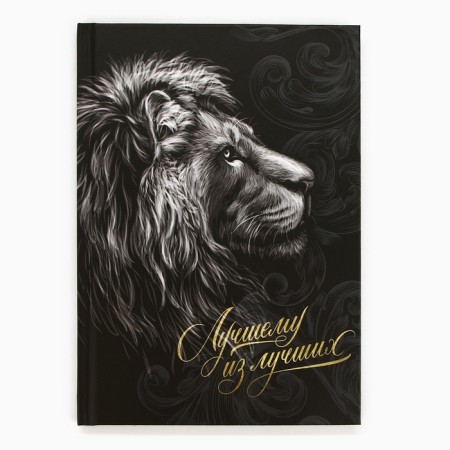 Diary in a gift box "Best of the best", 80 sheets-8
