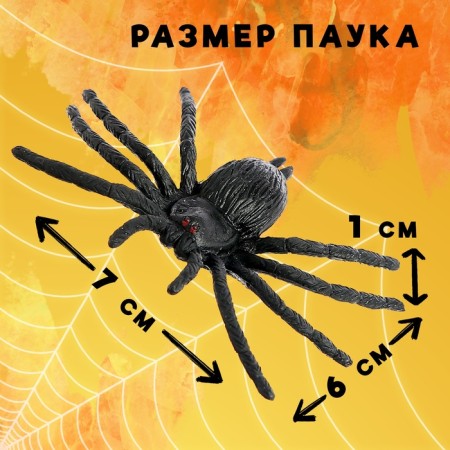 Set of insects "Spiders"-1