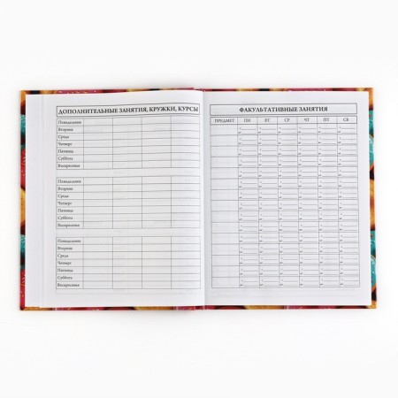 School diary 5-11 grade, in a solid cover, 48 liters. "Donuts"-4