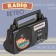 Radio receiver ECON ERP-1600, 2W, 220V, FM 64-108 MHz, black color