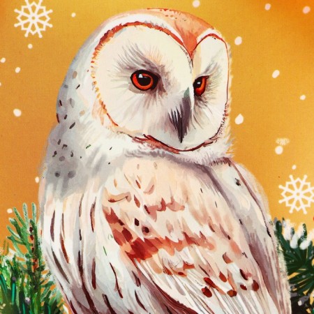 Package Gift New Year's laminated "owl", 23 x 17.8 x 9.8 cm.-1